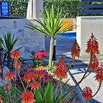 Casa Bella With Private Pool * Split
